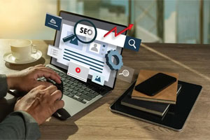 seo services vista ca
